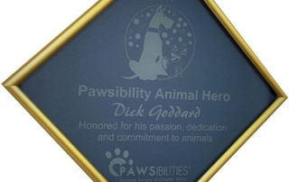 Gold Frame with etched glass